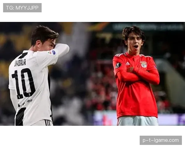 菲利克斯本菲卡封神赛季一战成名欧洲解析 菲利克斯本菲卡封神赛季一战成名欧洲解析